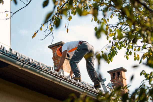 Best Commercial Roofing Services  in Tremont, PA