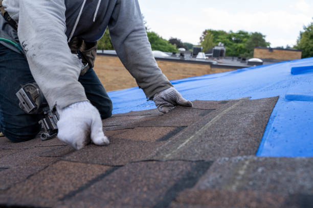 Best Roof Gutter Cleaning  in Tremont, PA