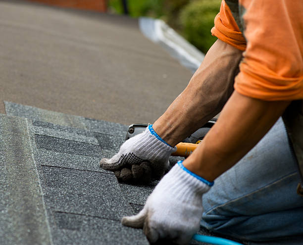 Best Local Roofing Companies  in Tremont, PA